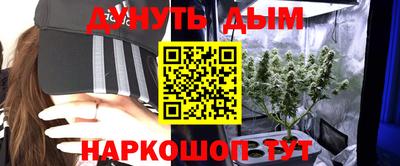 шишки Тула
