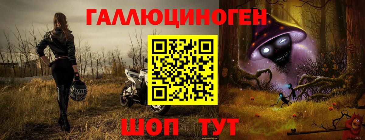 Псилоцибиновые грибы Psilocybine cubensis Нерюнгри