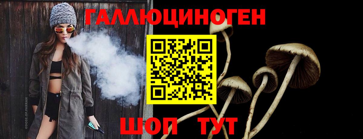 Псилоцибиновые грибы Magic Shrooms  Галлюциногенные грибы прущие грибы  Вход с VPN  Нерюнгри 